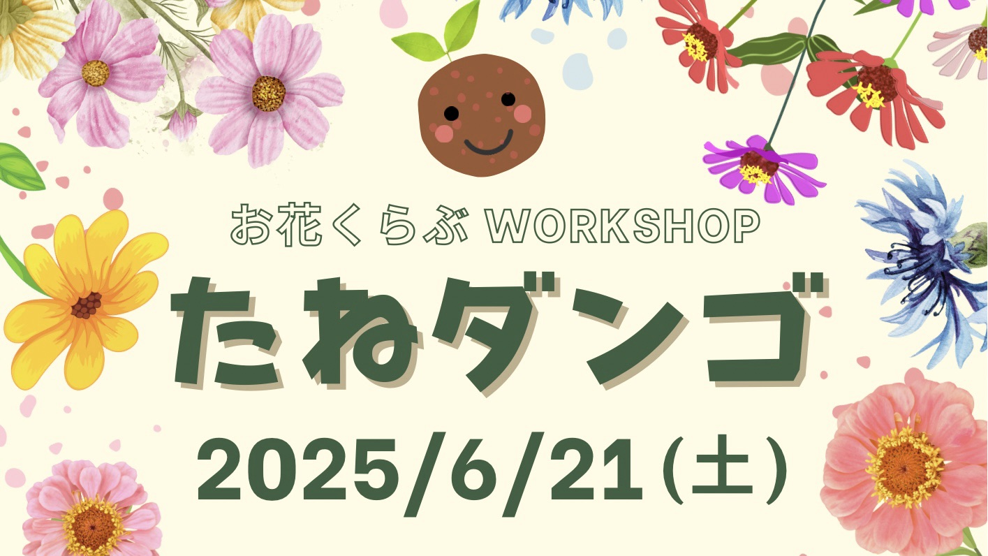 2025年6月21日のたねダンゴのお知らせ