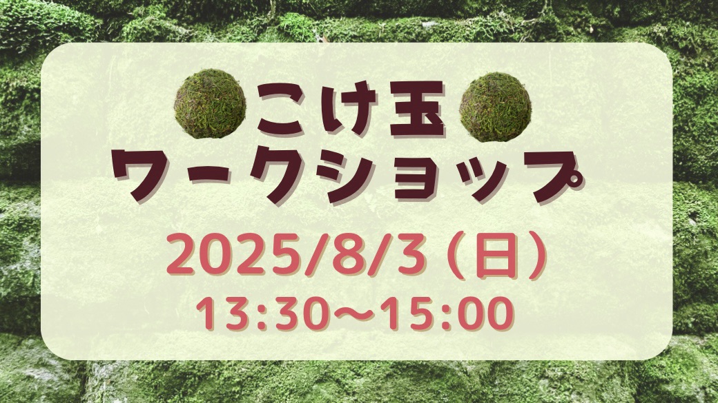 お花くらぶ　こけ玉ワークショップ