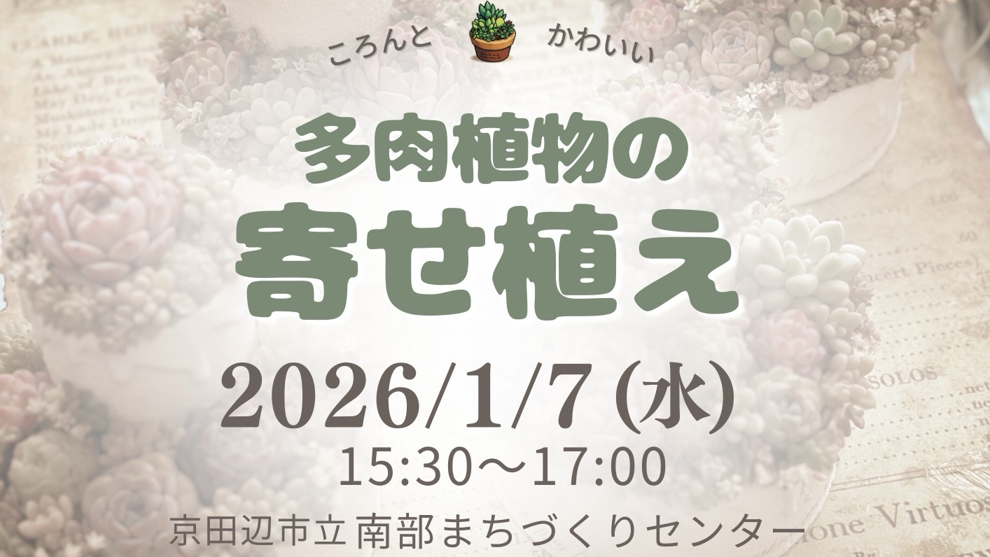 多肉植物の寄せ植え